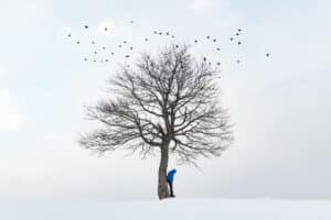 Academic Approach Tutoring and Test Prep | A man standing in front of a tree with birds flying around it.