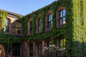 Academic Approach Tutoring and Test Prep | A brick building with tall arched windows is covered in green ivy. Sunlight illuminates parts of the ivy and windows. A blooming bush is visible near the building. The sky is clear and blue.