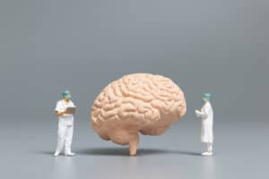 Academic Approach Tutoring and Test Prep | Two miniature figures dressed as medical professionals stand on opposite sides of a large anatomical brain model, representing AI and critical thinking.